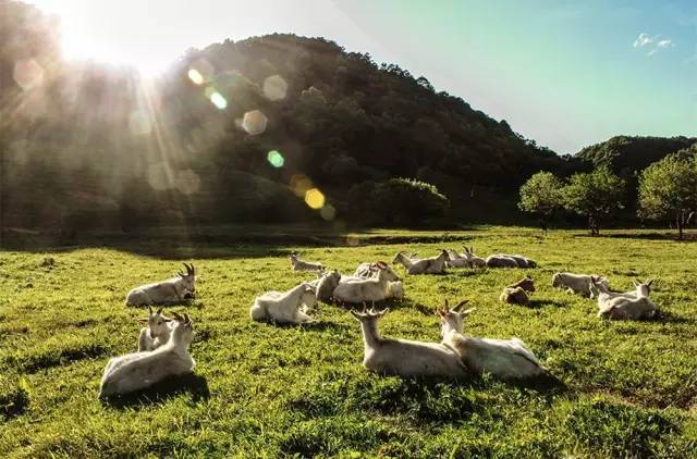 学习主席写计划，制定2017最雄心壮志的旅行书······