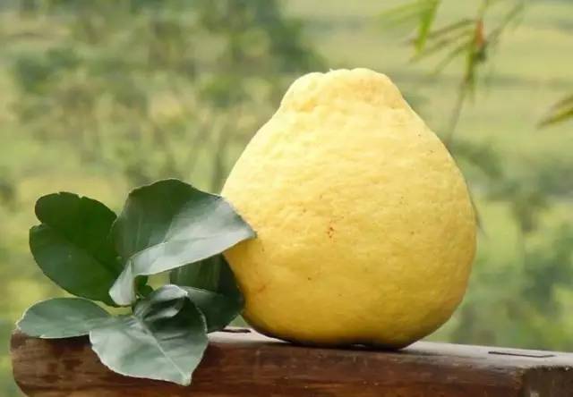 广西过年必备的土特产,广西百色市田阳区有什么特产