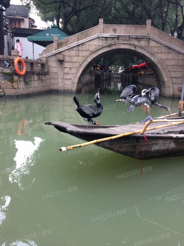 同里古镇一日游跟团,同里古镇一日游