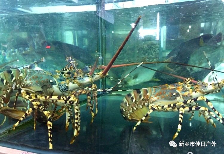 越南旅游第二站美奈,情迷越南