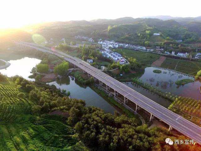 追赶超越促西乡“蝶变”