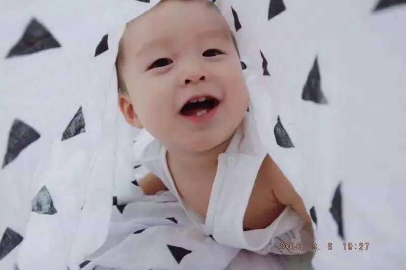 读者来稿丨抱着邦尼兔睡觉、拎着定型枕逛街、在公园里给土豆推秋千……小朋友的安抚物大集合！