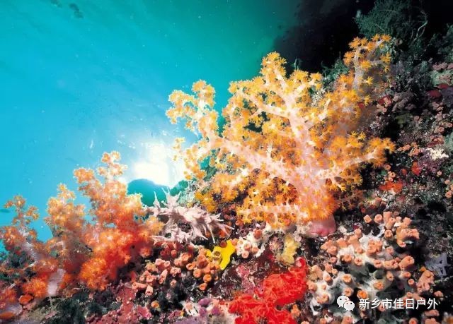 越南旅游第二站美奈,情迷越南