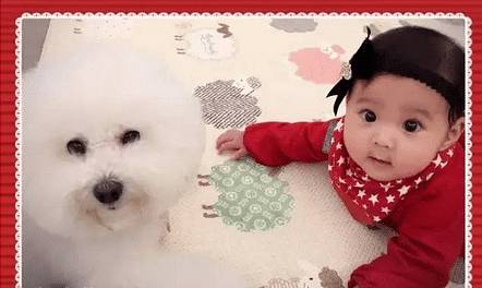 贾静雯家的咘咘现在多大了 (贾静雯咘咘饼干)