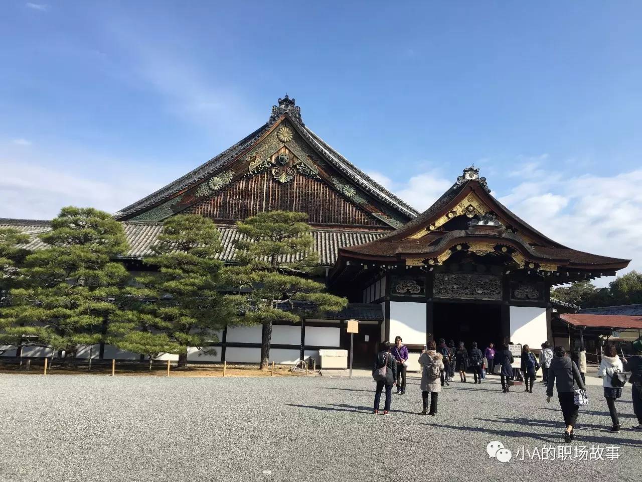 最全318攻略,京都大阪北海道9天