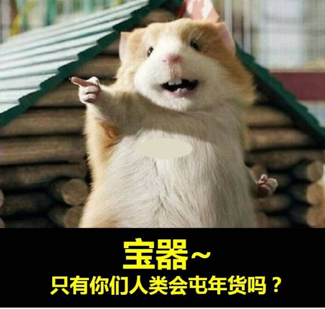 老鼠访谈录：你凭什么往发动机仓存花生？