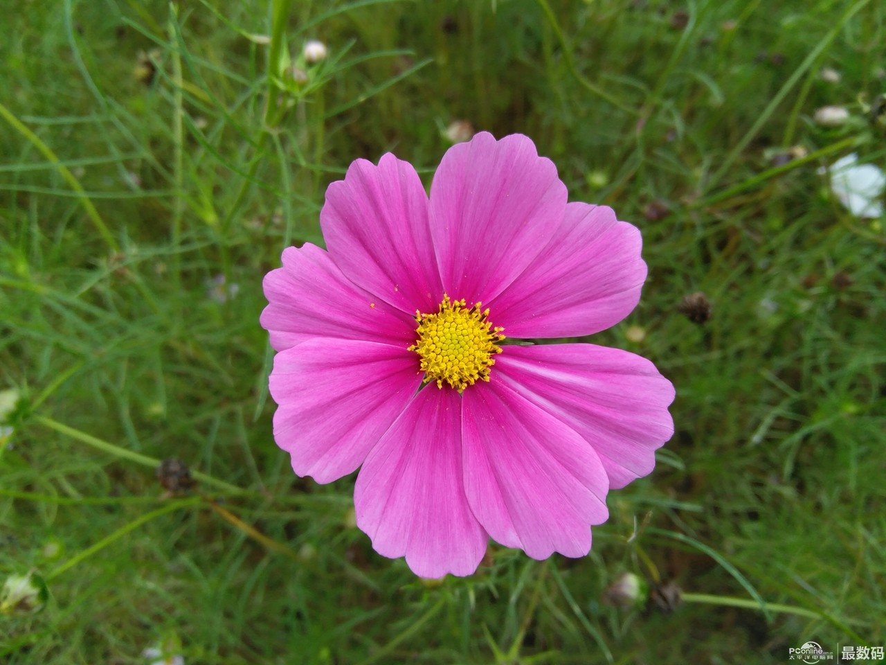 联想zukz2对比联想zukedge,联想zukz2值得买吗