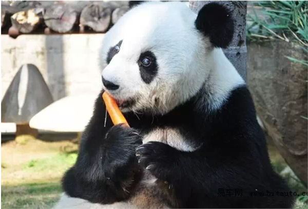 川西美丽地方,川西最迷人的地方