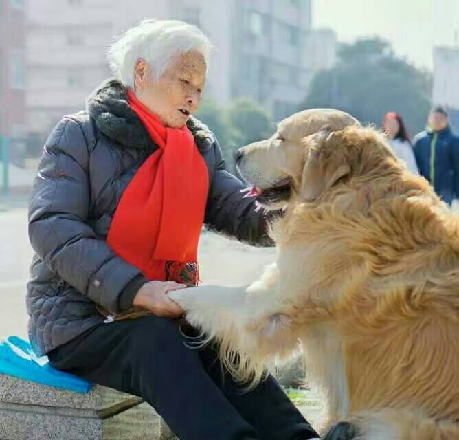 看完这些摄影作品点评，你的摄影技能会有大幅提升
