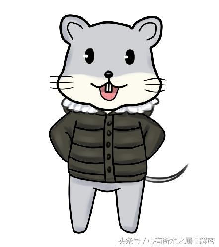 生肖运势五行搭配口诀详解,五行中最好的十大生肖