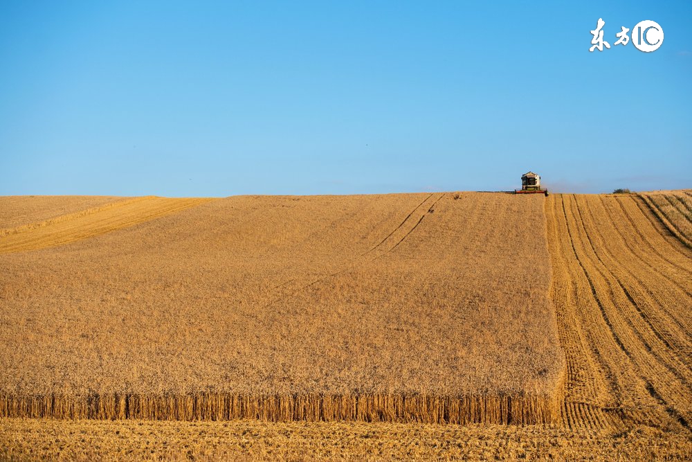 沉默的巨兽:农粮B2B这一年