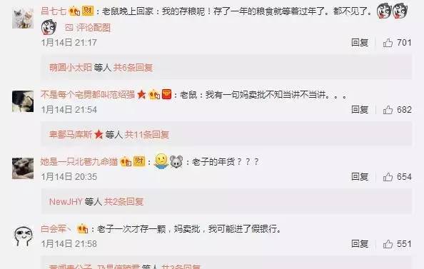 今天这只偷花生的老鼠火了，网友这次都站老鼠