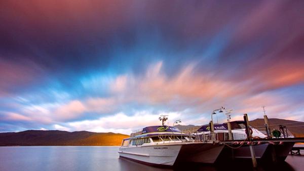 新西兰特色动物有哪些,新西兰奇异动物有哪些