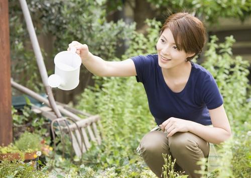 多肉新手必踩十大坑,多肉入坑的一百个理由