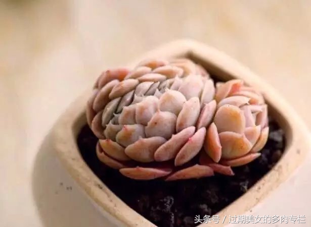 入坑一年小说,入坑一年