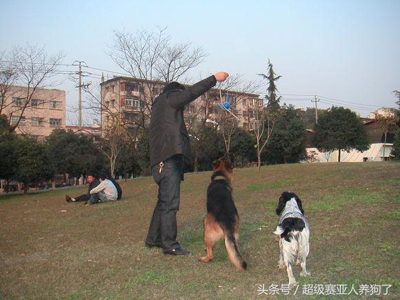 狗狗正确的洗澡步骤,附上爱犬照片