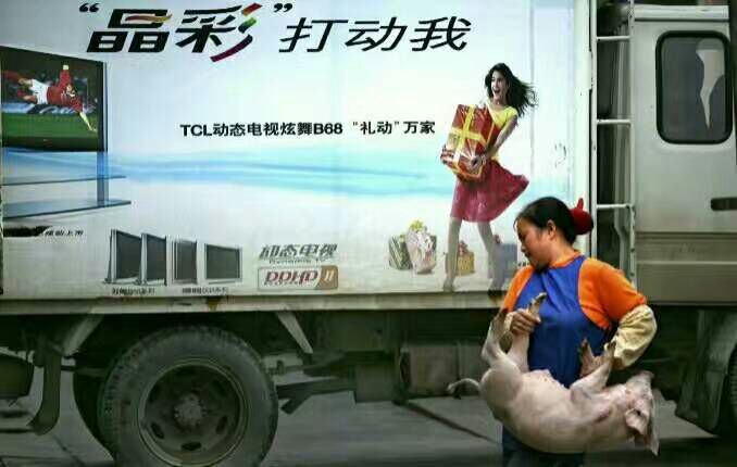 给摄影爱好者的十二条摄影经验,看完这组摄影作品你还淡定吗