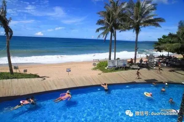 台湾寻肉之旅：小玲带你逛春节的台北花市！