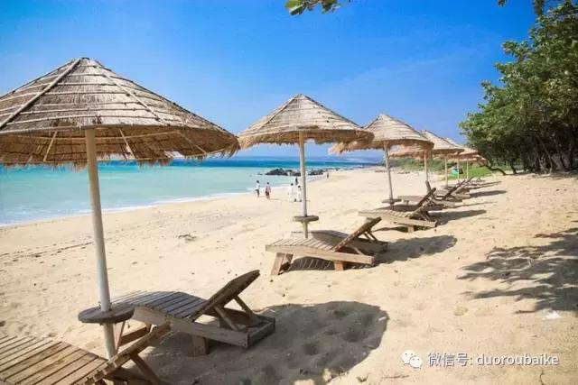 台湾寻肉之旅：小玲带你逛春节的台北花市！