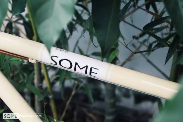 骑自行车很优雅,骑单车就得骑出优雅的感觉