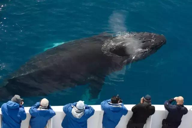 不好意思，中国人想要的春节已经在美国上线