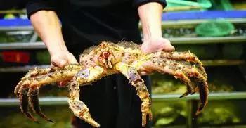 深圳年货地,深圳年货大全