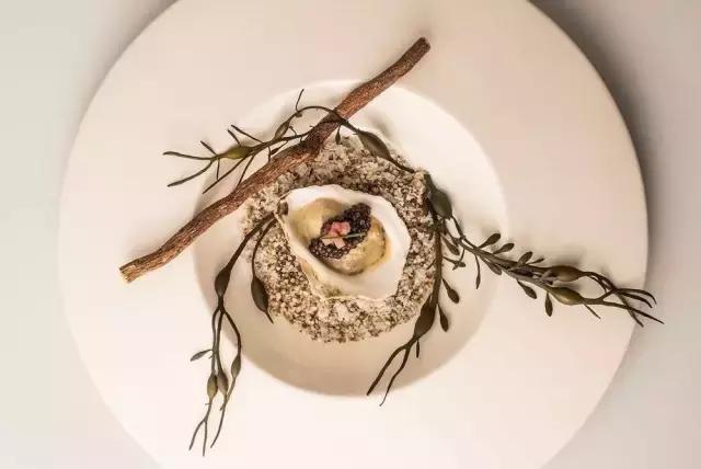 深海鱼子酱的功效与作用,来自深海的鱼完整版