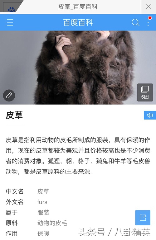 杨幂穿了皮草卡其色,杨幂穿皮草机场