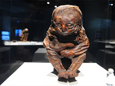 十二星座代表的专属妖魔鬼怪,十二星座各代表什么妖怪