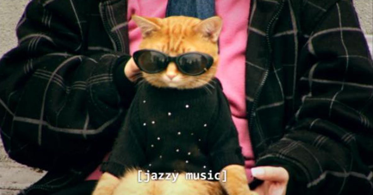 史上最强笑话十则简短,笑话近义词和反义词