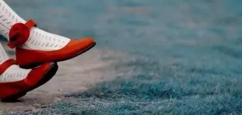 一千个人的心中有一千种正义,一千个人心中有一千种菊