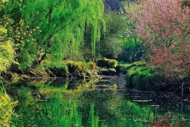 兴义黄果树旅游攻略和费用,天津到黄果树旅游攻略