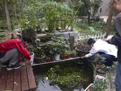 雨水生态化利用的必要性,雨水利用方法