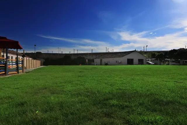 优狗宠物度假寄养房间,春节24小时宠物寄养机构价目表