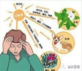 过敏体质婴儿,过敏体质原因