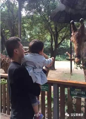 广州长隆亲子游攻略 (长隆动物园亲子游攻略)