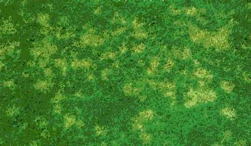 攻克白化病,攻克血友病