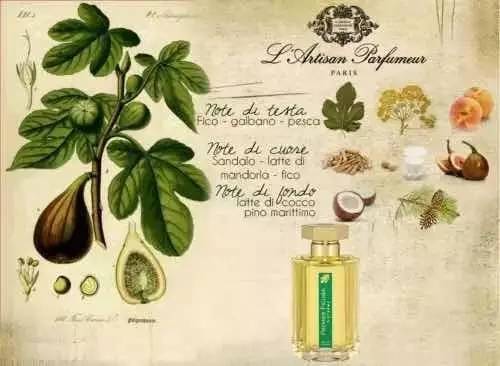 jomalone香水怎么辨真假,jomalone香水有酒精味