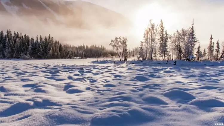 最新喀纳斯禾木视频,新疆喀纳斯禾木冬天视频