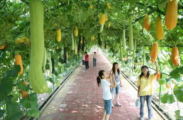 这是一条拯救南宁人春节聚会的微信