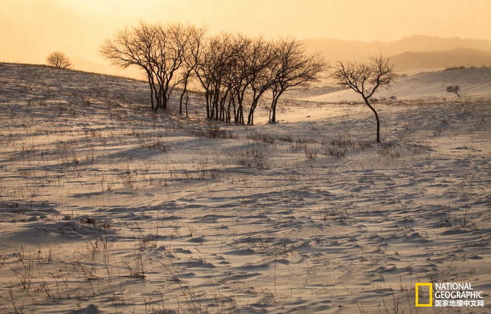趁冬天还没有来临之前去一趟,一起到坝上去看雪