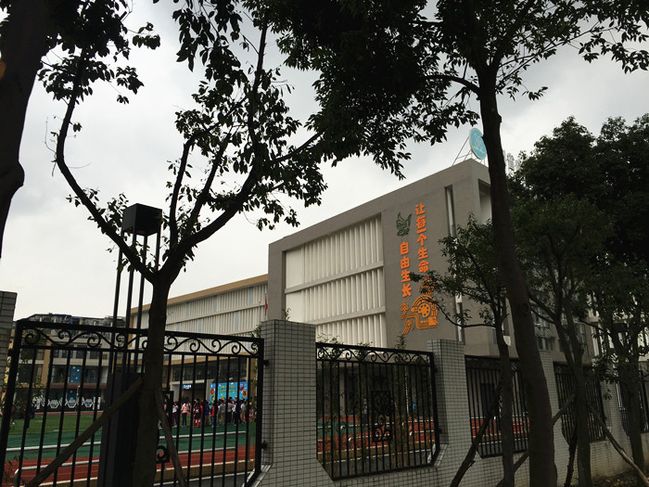 神仙树大院美食,神仙树大院和桐梓林一号