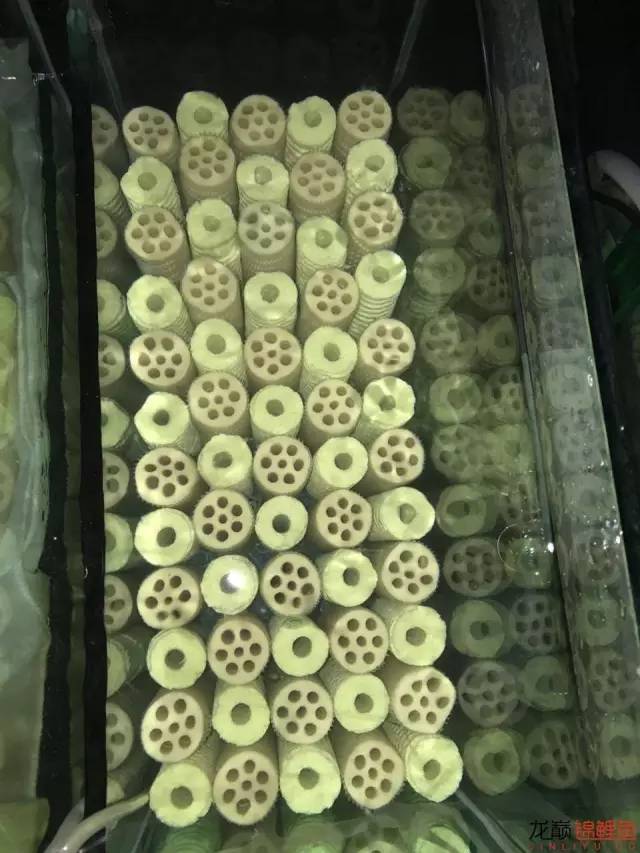 地缸里面漂浮的粉末怎么解决,粘的地缸怎么干得快