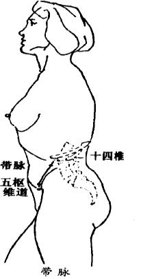 中医对奇经八脉的解释,倪海厦十二经络与奇经八脉简介