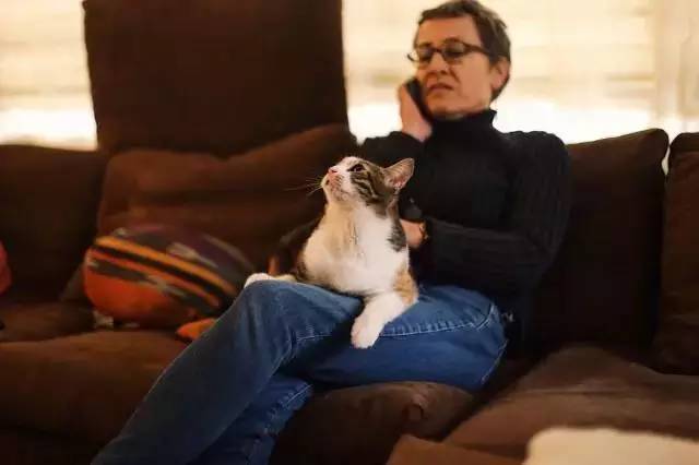 背井离乡的叙利亚人