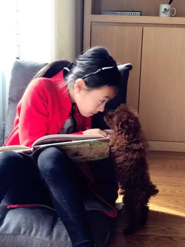 慢热型的孩子什么都记不住,遇到慢热的孩子该怎么应对