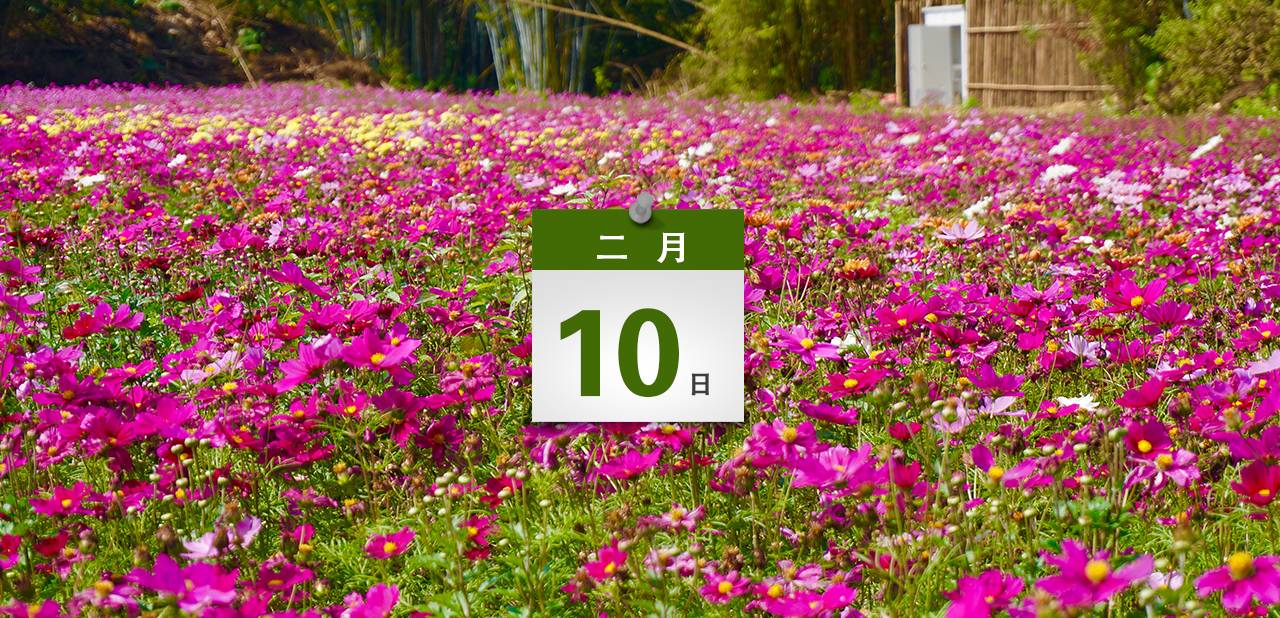 中川国际机场到兰州的城际列车 (中山到国际机场有多远)