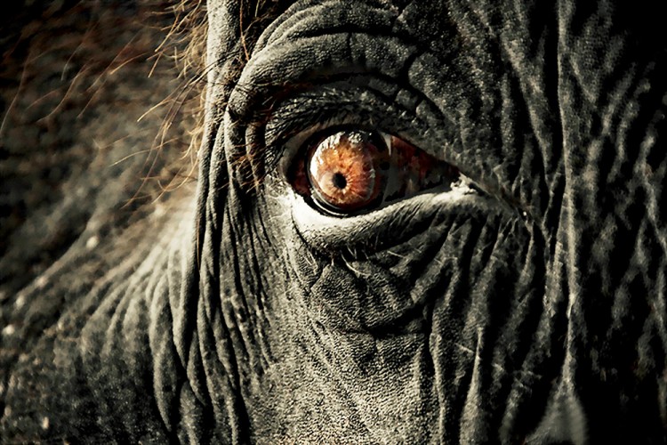 西双版纳从下飞机开始的攻略,进入西双版纳的视频