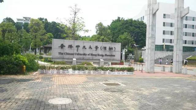深圳厉害的大学,深圳厉害了