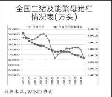 中国玉米产业分析简报,玉米市场权威分析